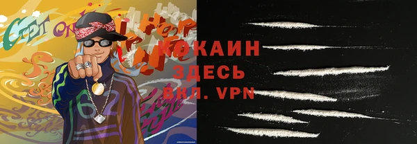 мдпв Богородск