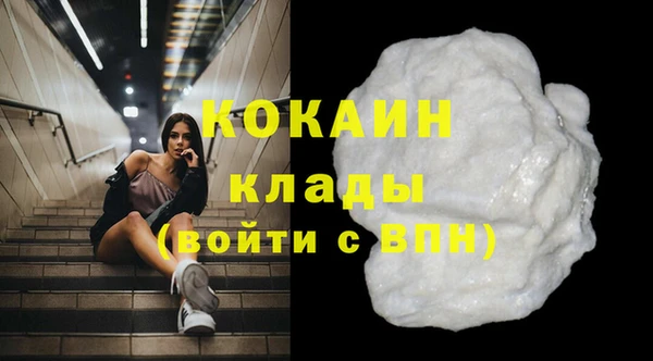 мдпв Богородск