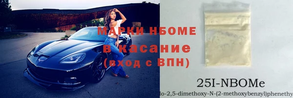 хмурый Белокуриха