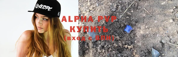 хмурый Белокуриха