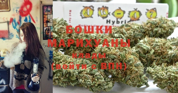 мдпв Богородск