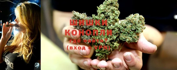 соль ск Богородицк